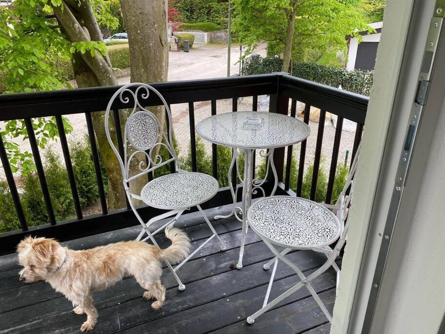Ferienwohnung Thalia Berg am Starnberger See Exteriör bild